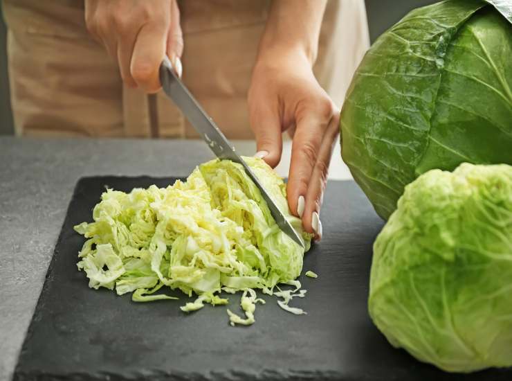 Cucinare il cavolo verza