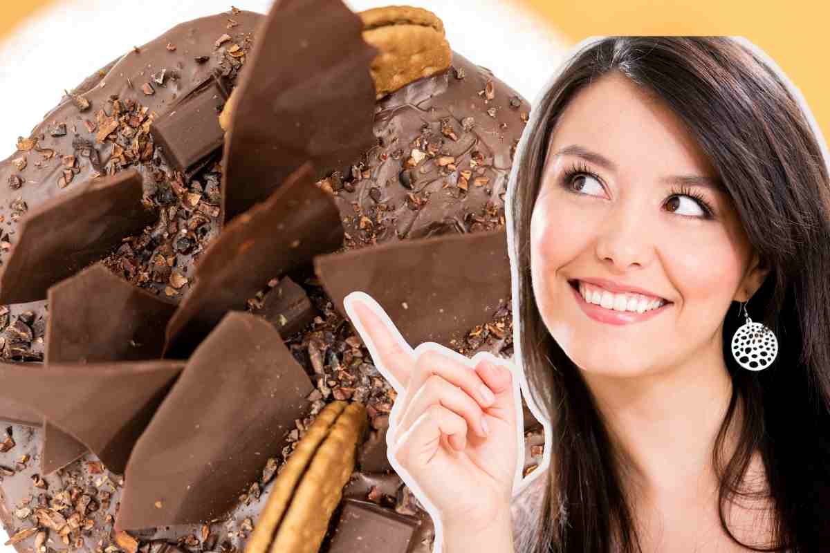 Torta al cioccolato senza cottura: la ricetta facile ed economica (Newsecologia.it)
