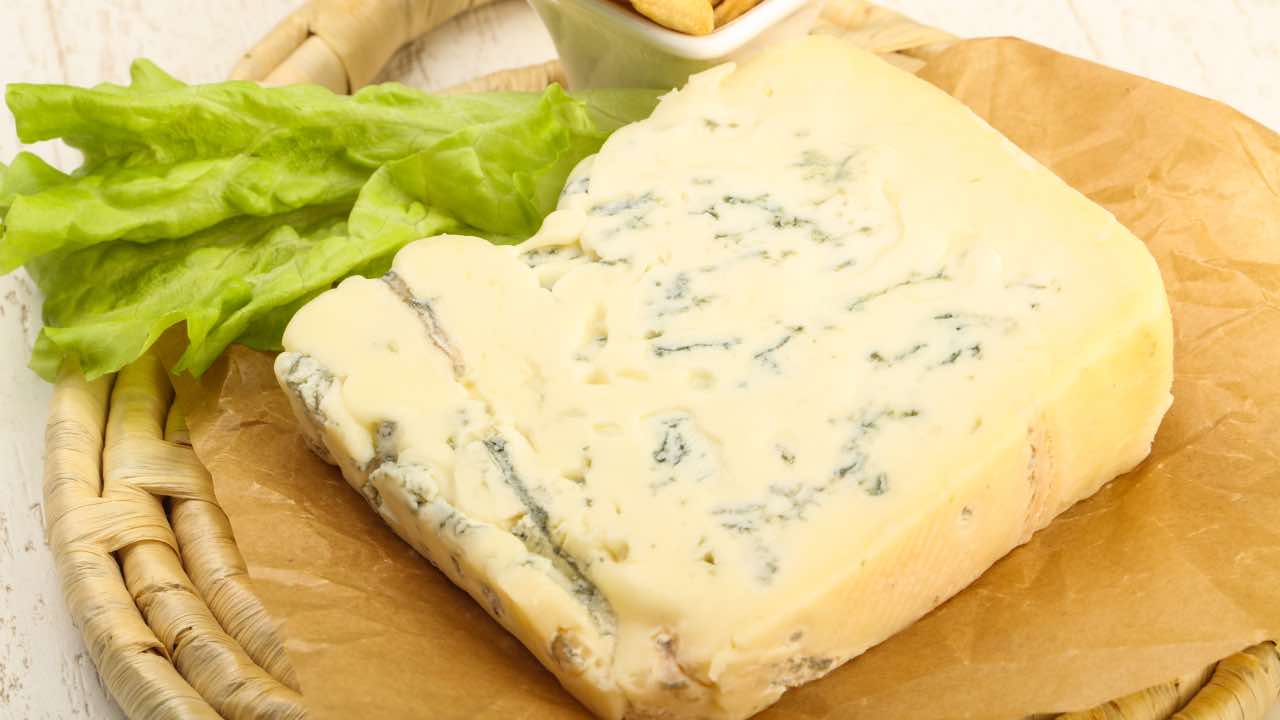 Gorgonzola formaggio 