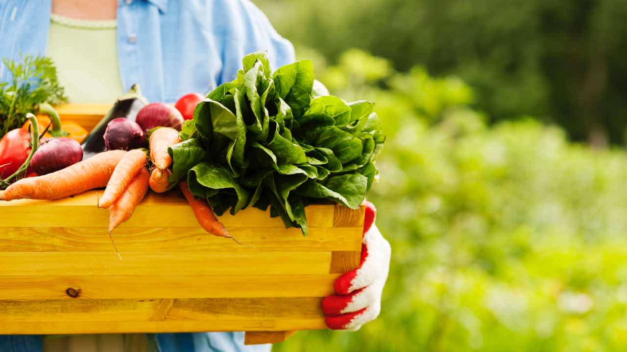 Signora con cesto di verdure 