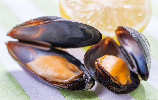 Cozze
