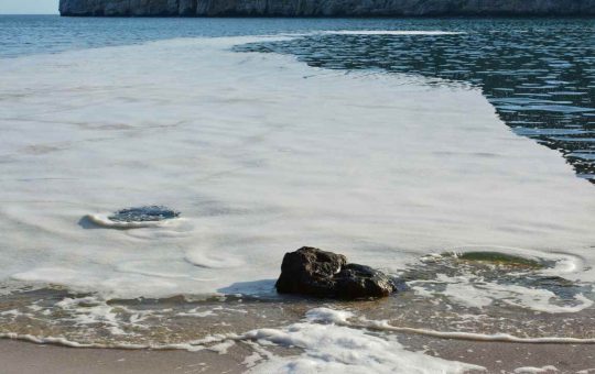 Invasione di mucillagini e schiuma alla riva