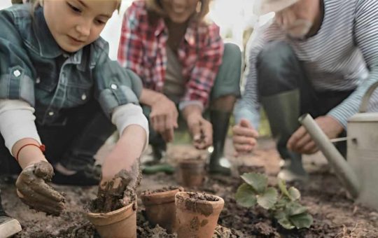 Famiglia prepara orto di settembre