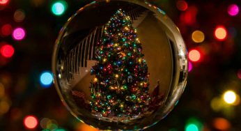 Natale: decorazioni ecosostenibili | Le feste natalizie si avvicinano preparati per tempo