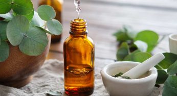 Eucalipto: il rimedio naturale per le vie respiratorie | Utilizzi e vantaggi dell’estratto vegetale