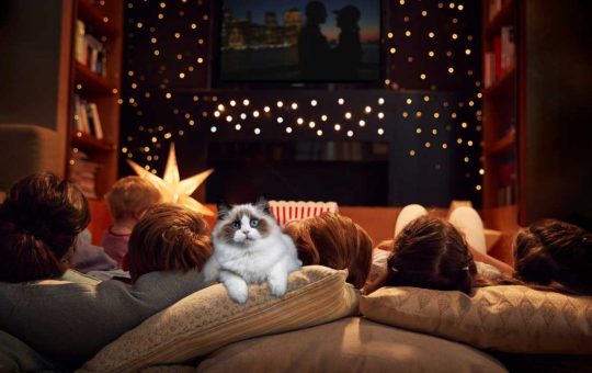 Momenti Netflix