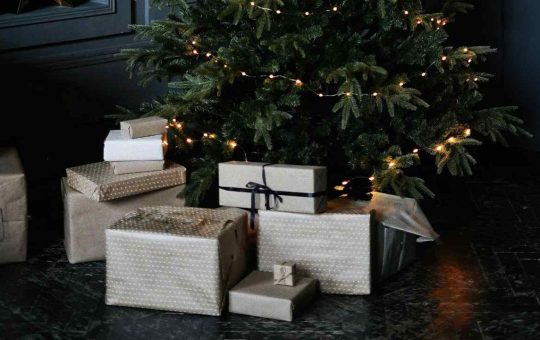Regalo di Natale (pexels.com) - newsecologia.it
