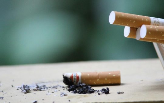 Da cicche a occhiali (pexels.com) - newsecologia.it