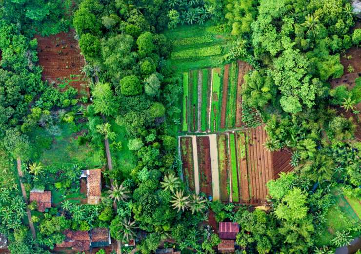 Agricoltura rigenerativa e biodiversità
