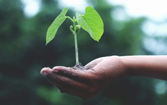 Sostenibilità e ambiente: salva il pianeta con le scelte giuste