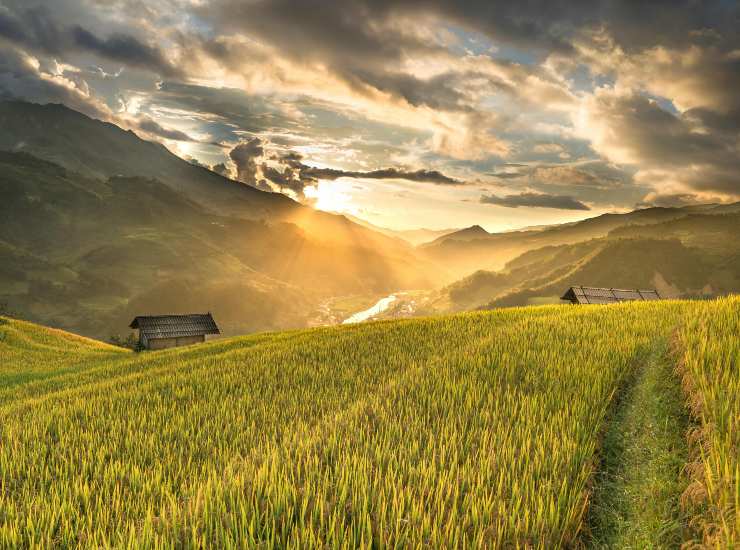 Vita nel verde (pexels.com) - newsecologia.it