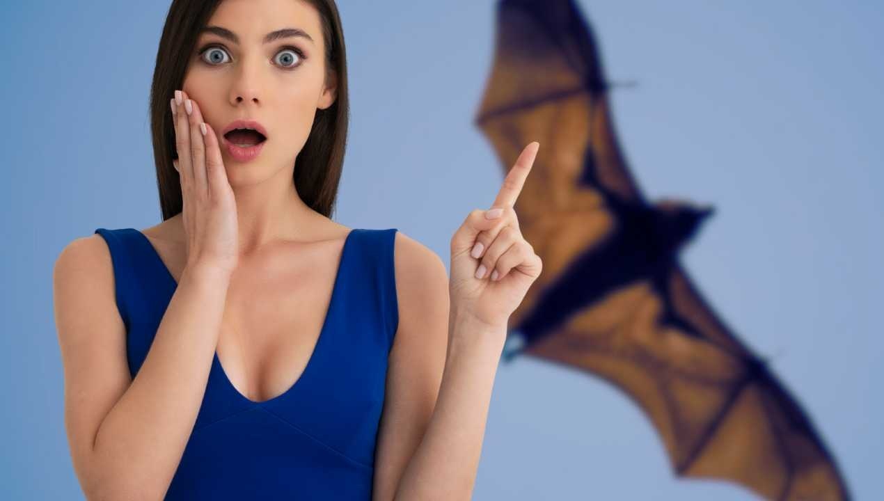 Scoperta nuova specie