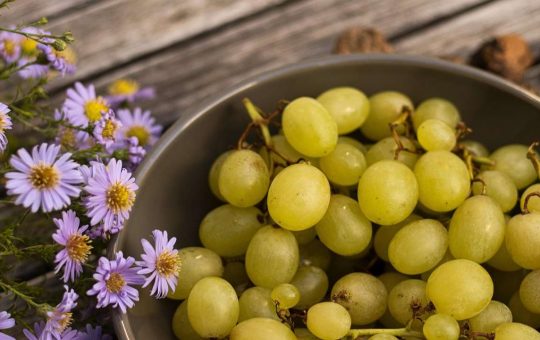 Alimentazione in autunno