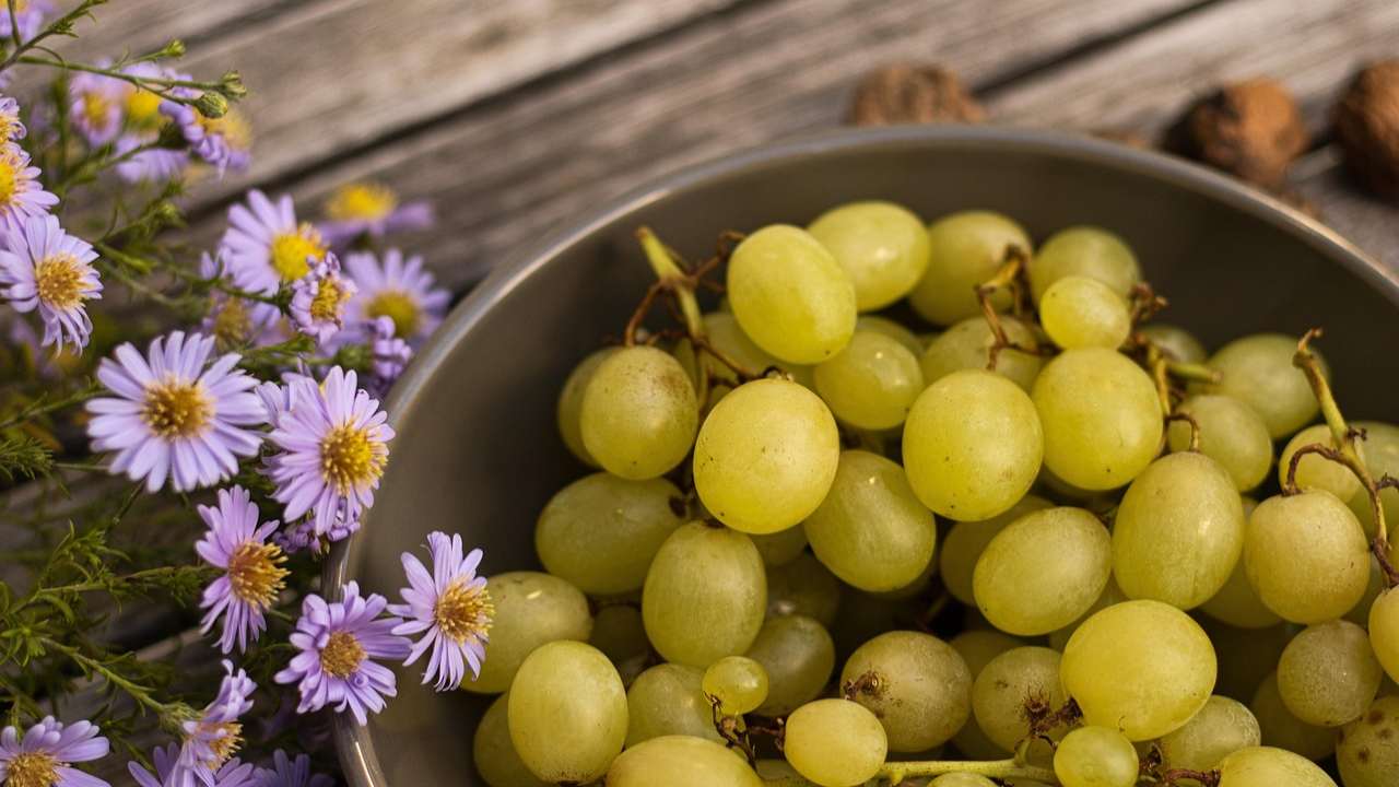 Alimentazione in autunno