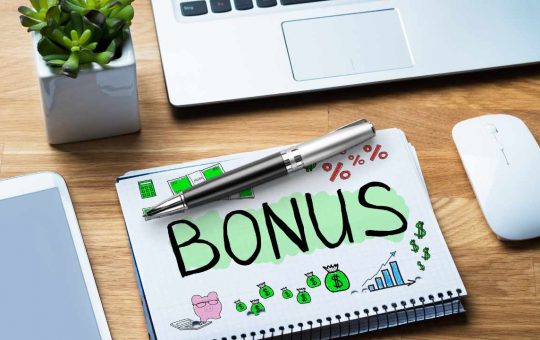 Bonus ecologico 2025-Fonte Canva-Newsecologia.it