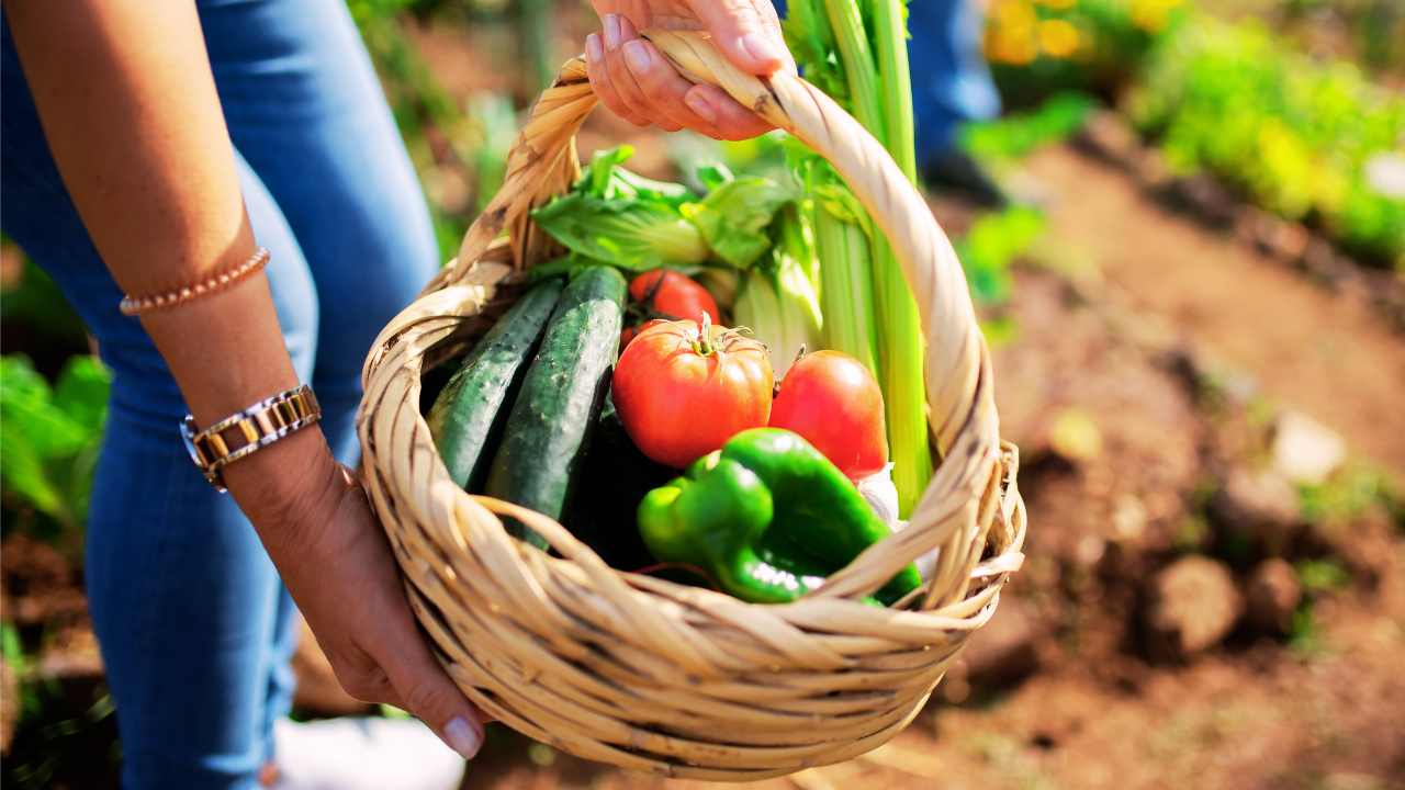 Orto di settembre
