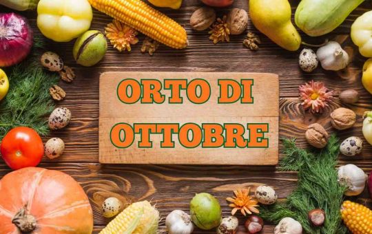 Orto di ottobre