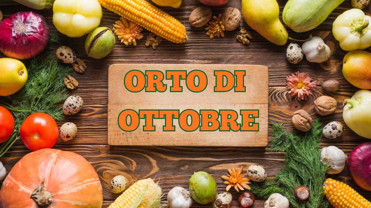 Orto di ottobre
