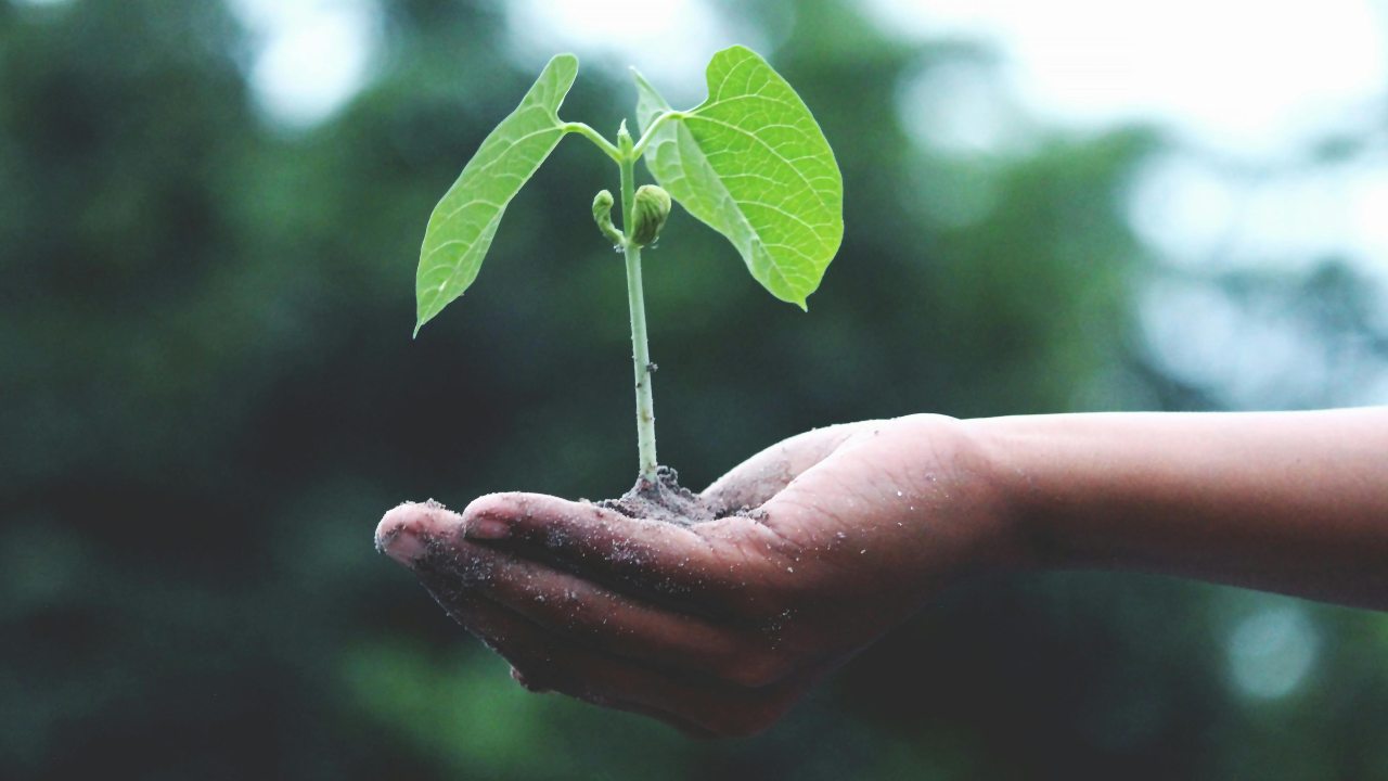 Sostenibilità e ambiente